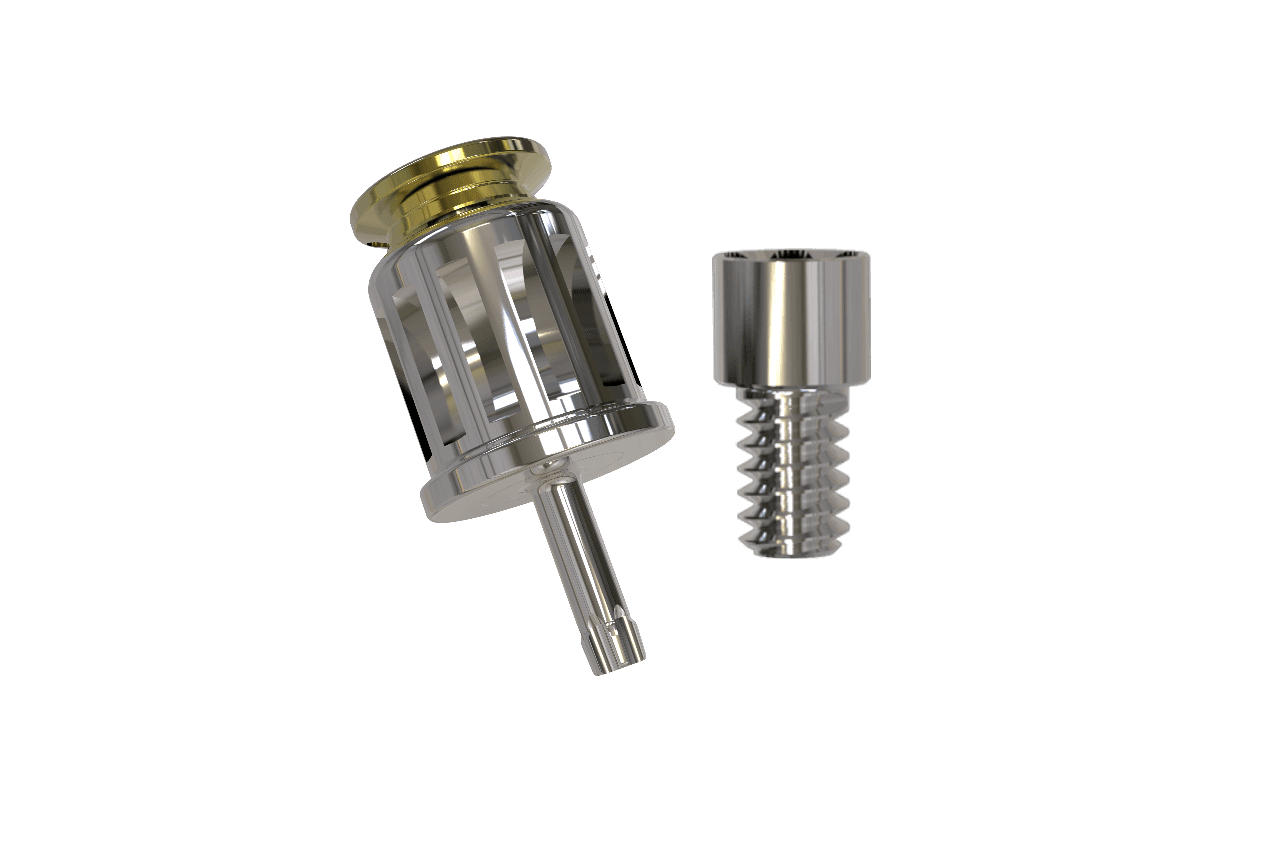 Tornillo y destornillador recto Metal.